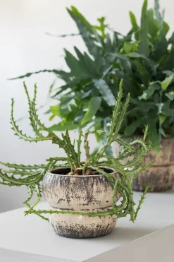 Mette Ditmer Raw flowerpot Ø17 cm, Off-white Grey Online