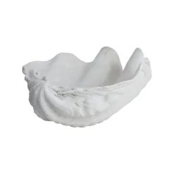 Mette Ditmer Shell decoration, Small White Sale