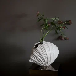 Byon Shell vase, White Clearance