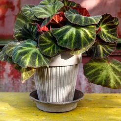 Bergs Potter Simona flower pot Ø18 cm, Grey Best