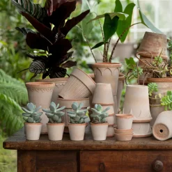 Bergs Potter Simona flower pot 14 cm, Pink Clearance