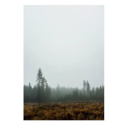 Fine Little Day Skog poster, 70x100 cm BrownGrey Online