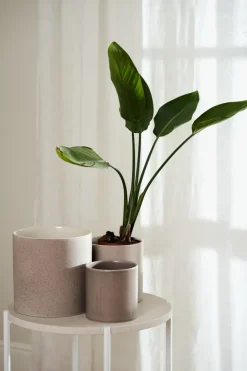 Scandi Living Sleek pot Ø12 cm, Beige Outlet