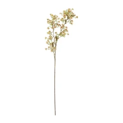 Bloomingville Stem wax flower, White New