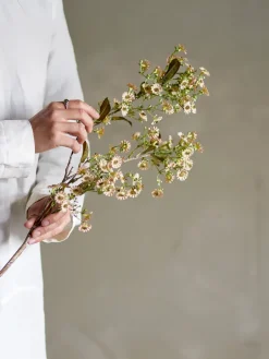 Bloomingville Stem wax flower, White New