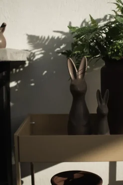 DBKD Swedish rabbit large, dust Grey Sale
