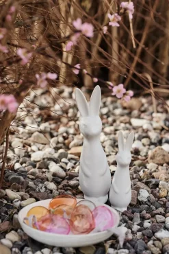 DBKD Swedish rabbit large, White Discount
