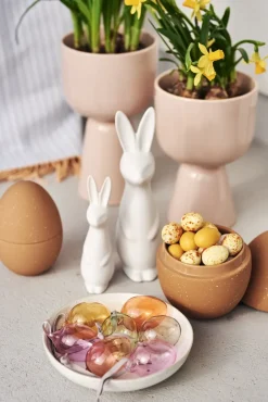 DBKD Swedish rabbit small, White Sale