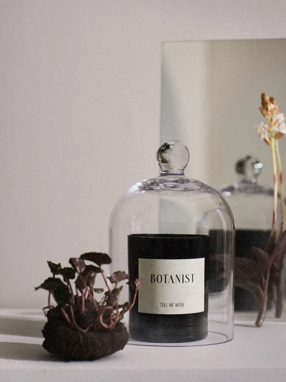 Tell Me More scented candle 48 h, Botanist BlackWhite Clearance