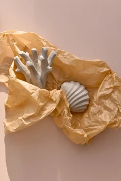 Cooee Design The Clam Shell sculpture 13 cm, Limestone Beige Discount