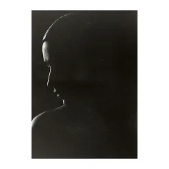 Paper Collective The Silhouette poster, 30x40 cm Grey Best