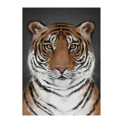 Kunskapstavlan® Tiger poster, 30x40 cm Multi Sale
