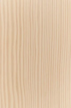 Swedese Tree wall wall-mounted coat rack Special Edition 194 cm, White pigmented pine Brown Hot