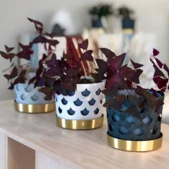 KLONG Trio flower pot drop small Ø12 cm, White Online