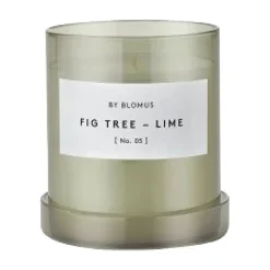 Blomus Valoa scented candle 45 hours, Fikon/Lime Agave Green Best