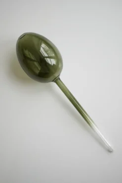 DBKD Waterbubble self-watering device, Green Online