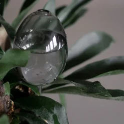 DBKD Waterbubble self-watering device, clear Transparent Discount